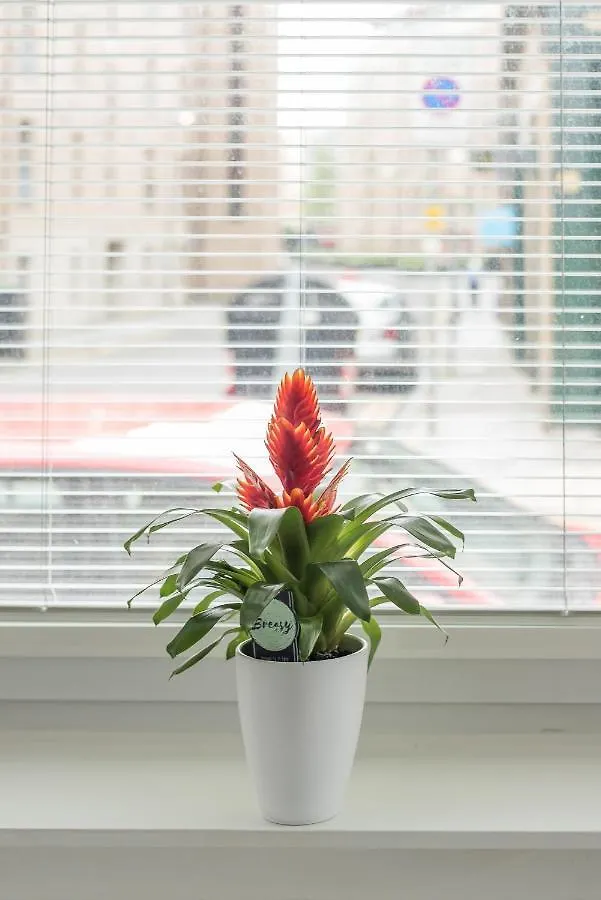 Apartment Haymarket Spacious 3 Bedroom Street Level Edinburgh United Kingdom